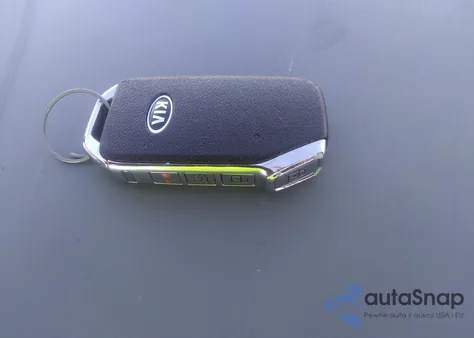 2020 Kia Telluride Ex из США, поврежденный, VIN 5XYP34HC0LG083455